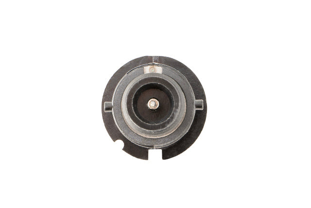 Diode Dynamics DD1042P Bulbs
