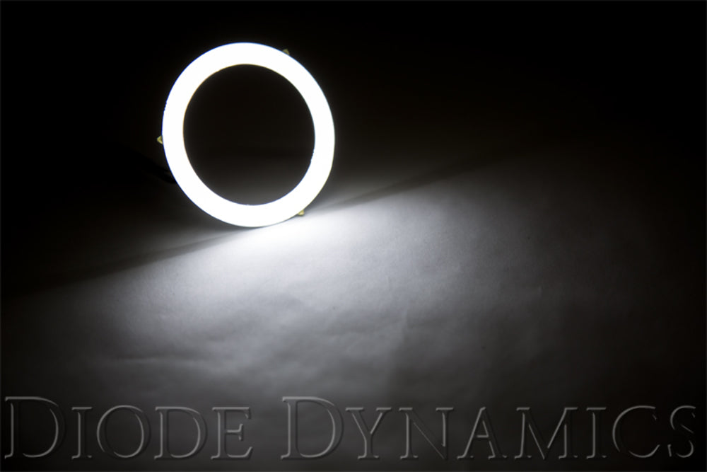 Diode Dynamics DD2024 Amber Halo Ring Bulb