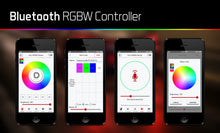 Load image into Gallery viewer, Diode Dynamics DD3066 Electric Switch Controller