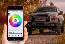 Load image into Gallery viewer, Diode Dynamics DD3066 Electric Switch Controller