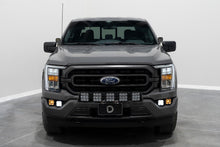 Load image into Gallery viewer, Diode Dynamics DD7309P Fog Light
