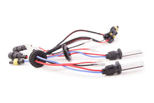 Load image into Gallery viewer, Morimoto B825 2x ACME H2 Standard 8000K HID Bulb