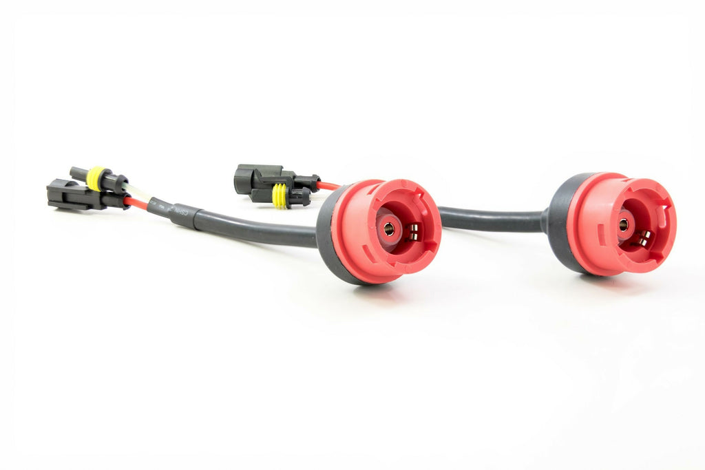 Morimoto H360 1x AMP to D2S