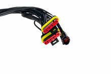 Load image into Gallery viewer, Morimoto LF356-H-EU European Wiring Adapters For Ferrari F430 Tail Lights