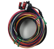 Load image into Gallery viewer, Racepak 580-CA-HARNDRAG Drag SmartWire Wire Harness