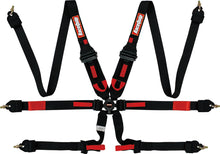 Load image into Gallery viewer, Racequip Black FIA 8853-2016 6 Pt Camlock HANS Pull-Down 2&quot; Lap Seat Belt Set