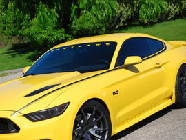 CDC 1511-3010-01 Matte Black Outlaw Stripe Package For 15-19 Mustang Coupe